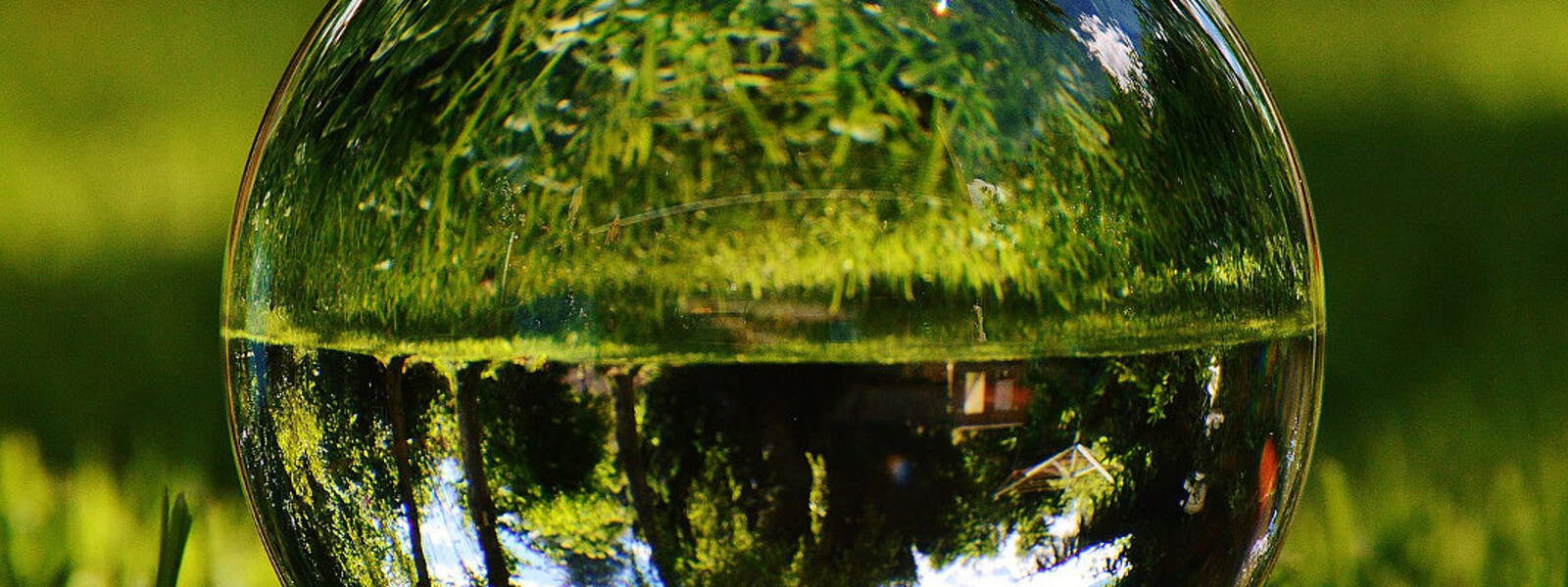 Glass orb reflecting grass upside down.