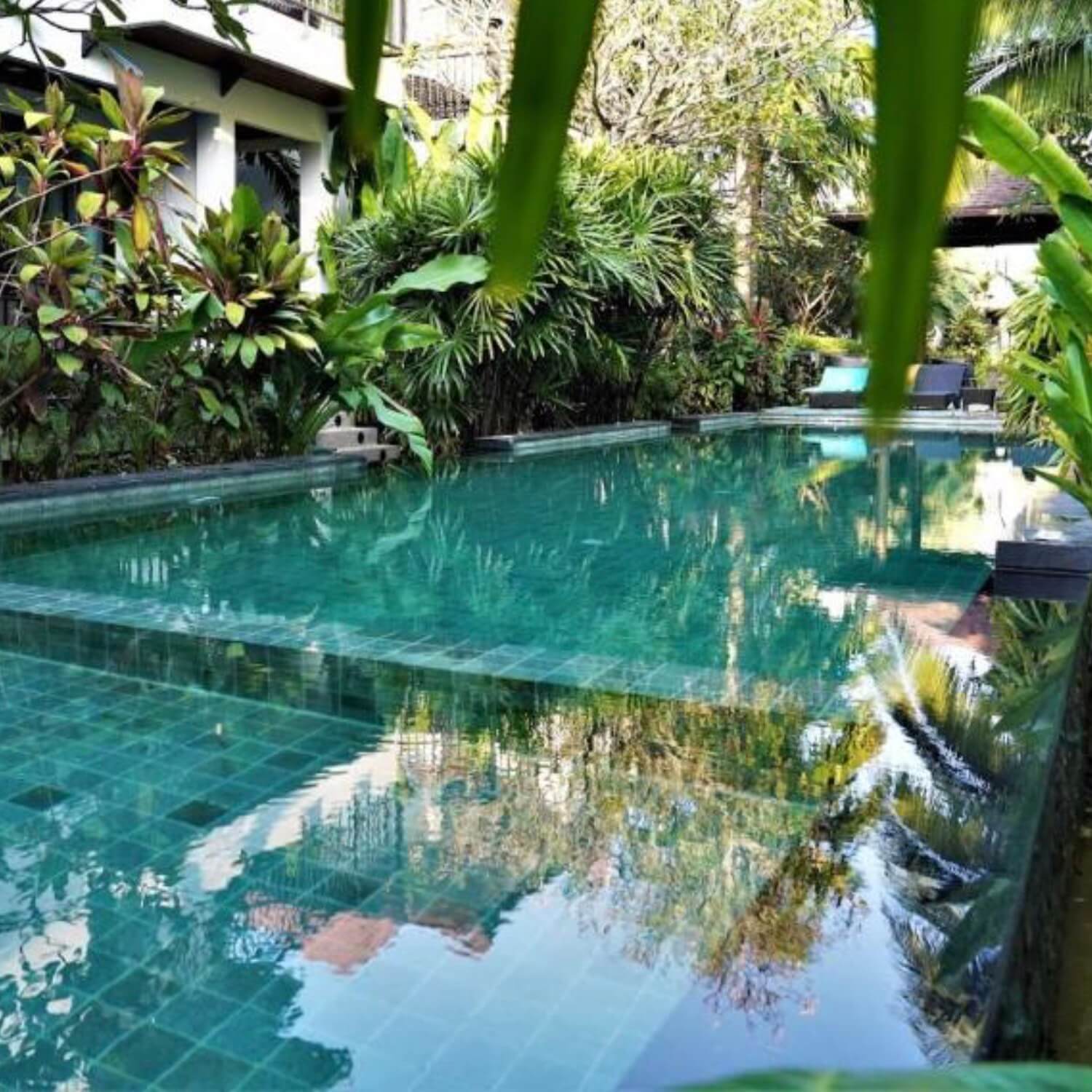 A blue swimming pool in a tropical resort, surrounded by tropical plants.