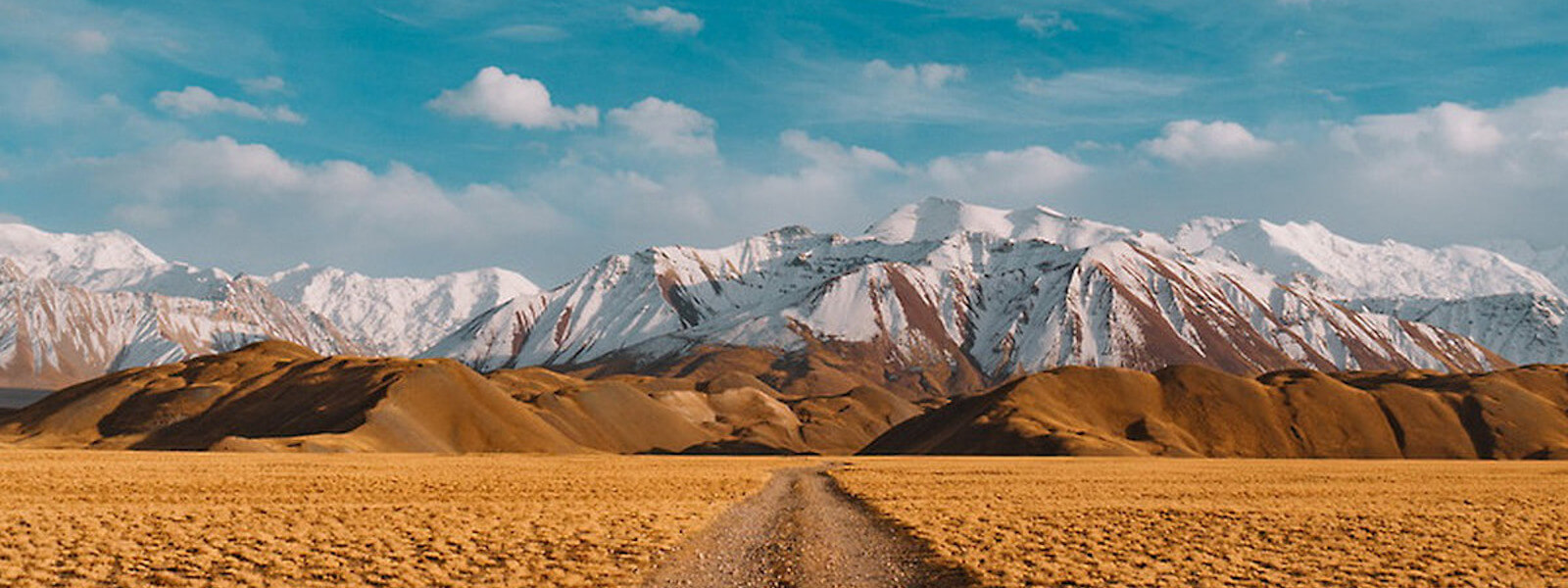 A dirt road leading through the desert toward a snowy mountain range.