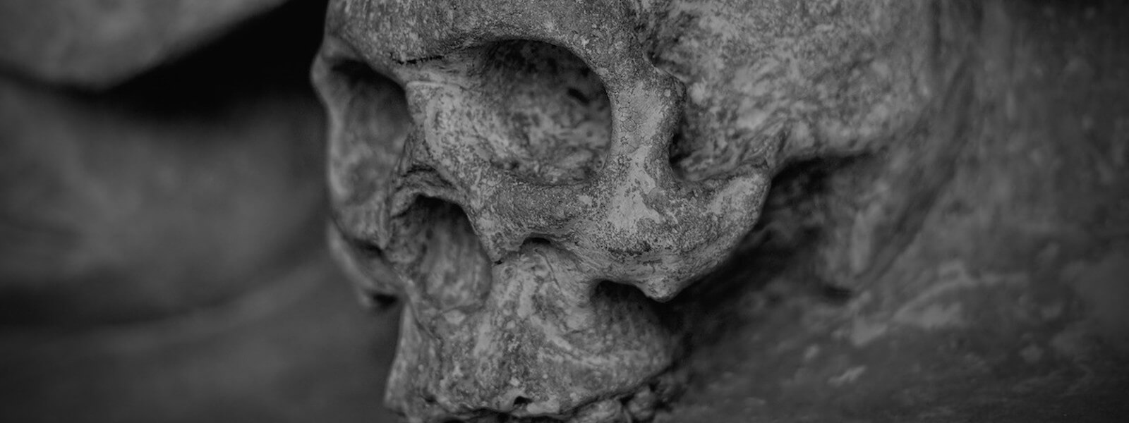 A human skull turned to stone in black and white.