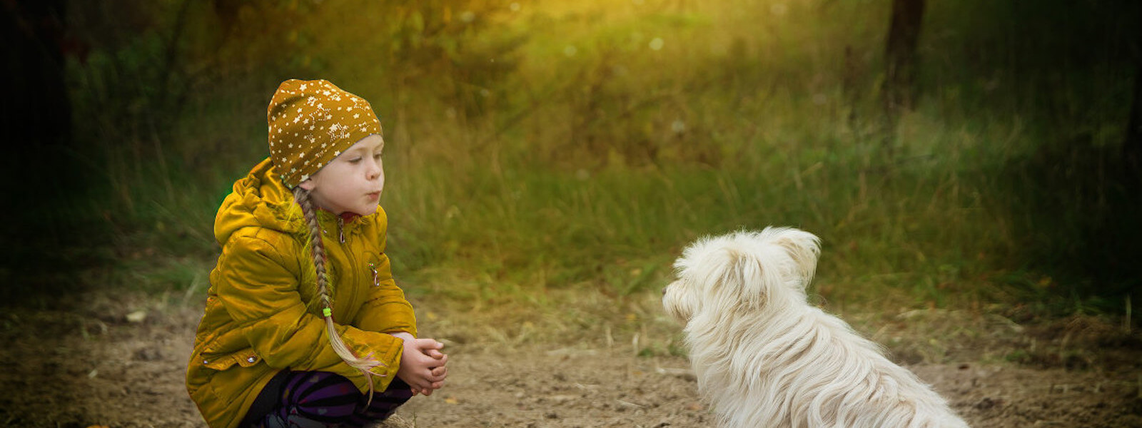 A little girl playing with a West Highland White Terrier